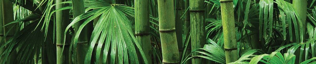objets publicitaires en bambou